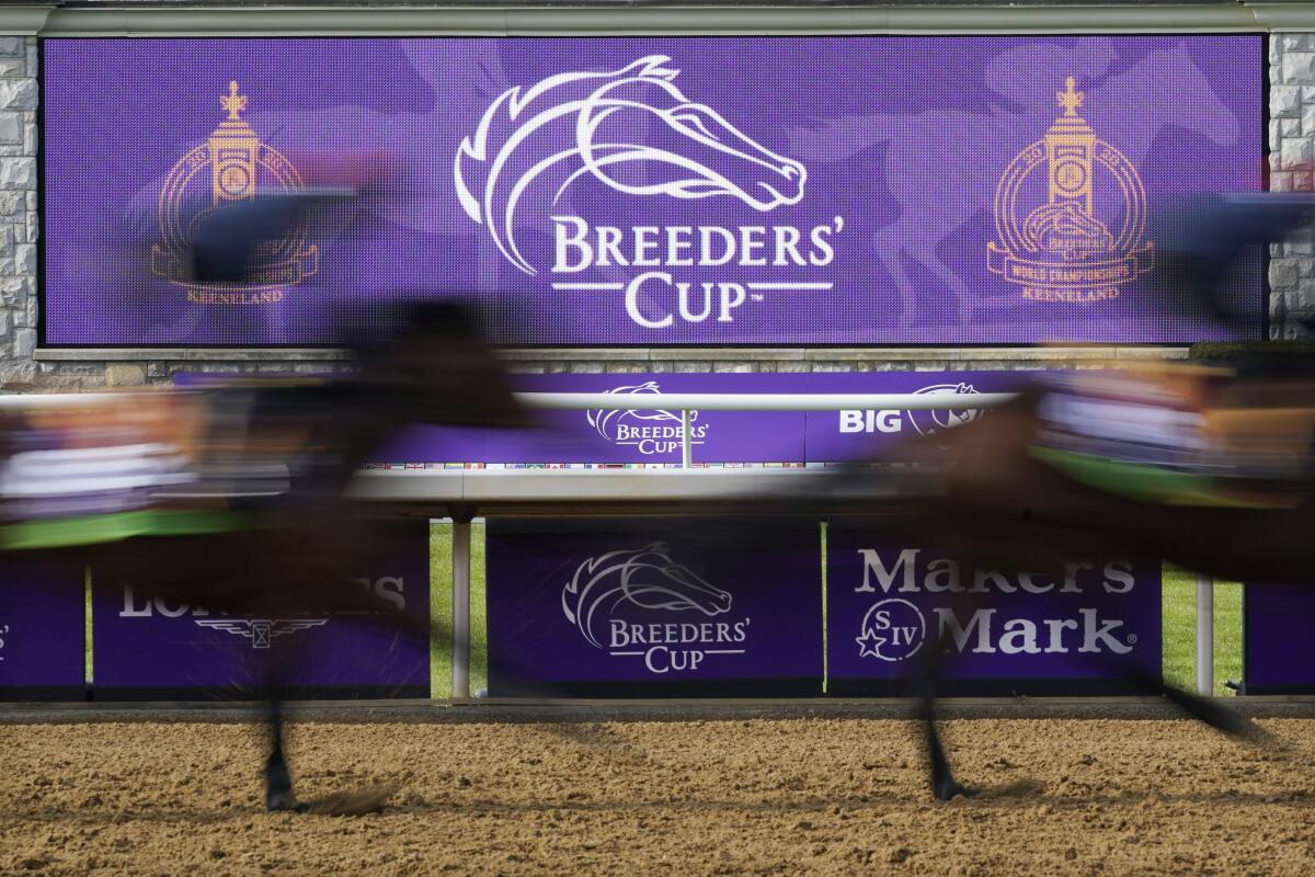 Horses pass a video board during a workout for the Breeders' Cup on Nov. 5 at Keeneland Race Course in Lexington, Ky. 