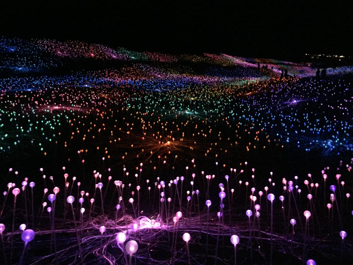  The “Field of Light at Sensorio” is brightest after all light has left the sky. It will stay open six more months.