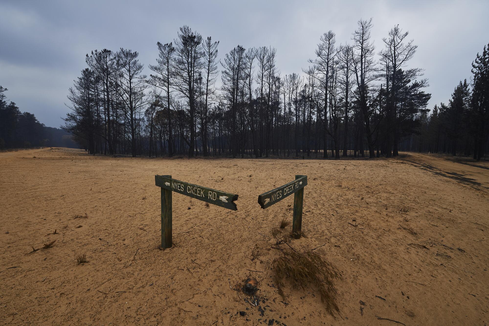 A burned sign in the Wingello State Forest in Wingello, Australia.