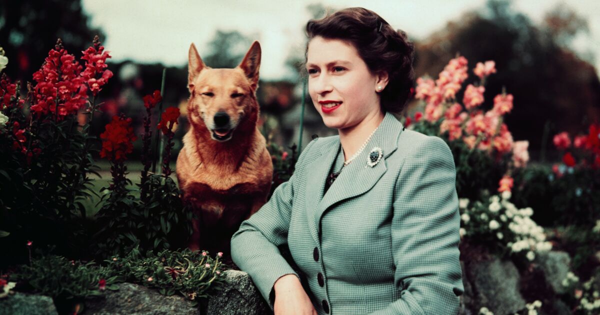 Photos: Queen Elizabeth II | 1926 – 2022 Photos: Queen Elizabeth II | 1926 – 2022