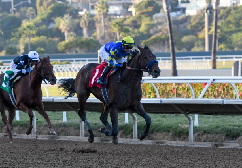 Messier on his way to a win at the Grade III, $100,000 Bob Hope Stakes.