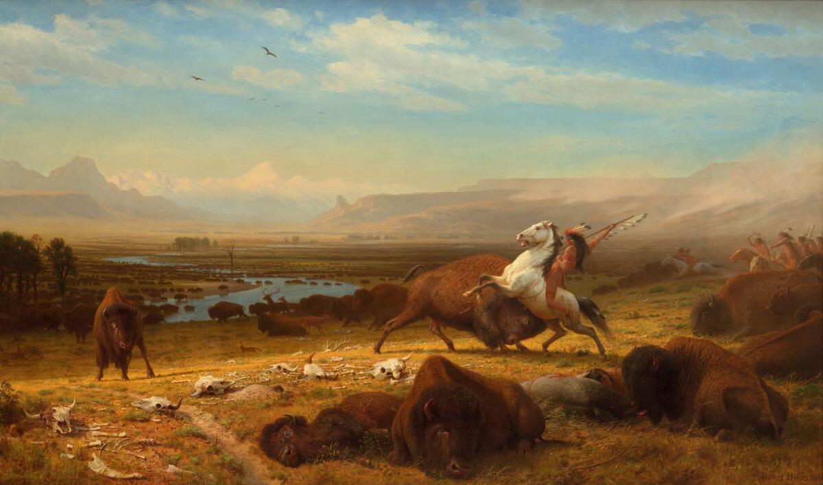A painting of buffalo being hunted by a Native American atop a white horse.