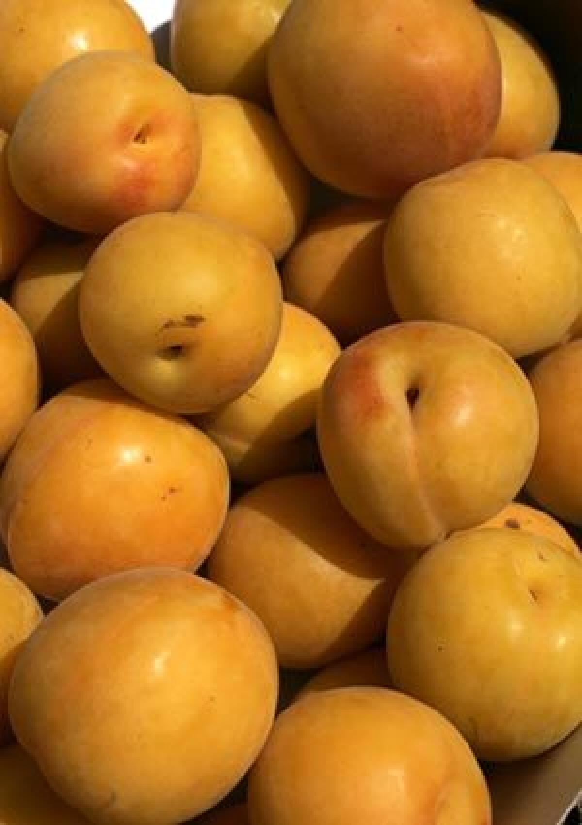 SWEET: Apriums can be used in place of apricots in recipes.