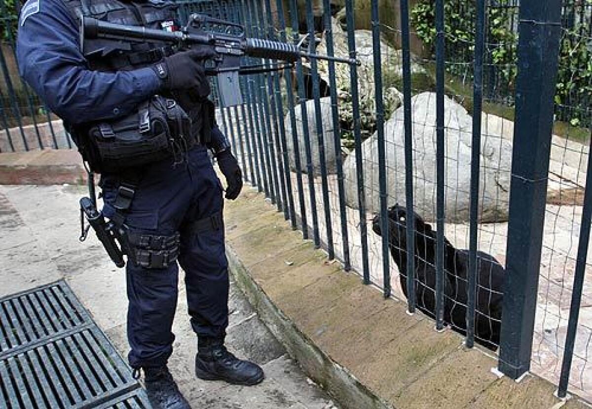 A police officer watches over a panther in the backyard of an upscale home in Mexico City. Earlier, authorities arrested more than a dozen people in a drug raid at the residence, seizing weapons, vehicles and exotic animals. More photos >>>