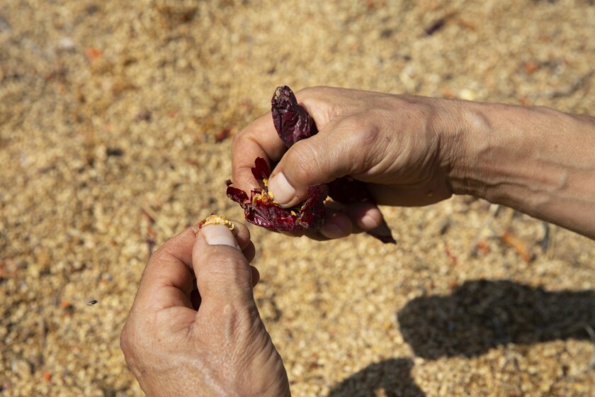 ‘nduja