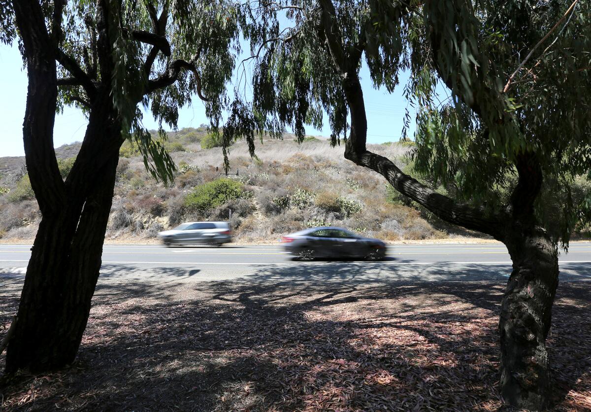 Cars travel along Laguna Canyon Road.