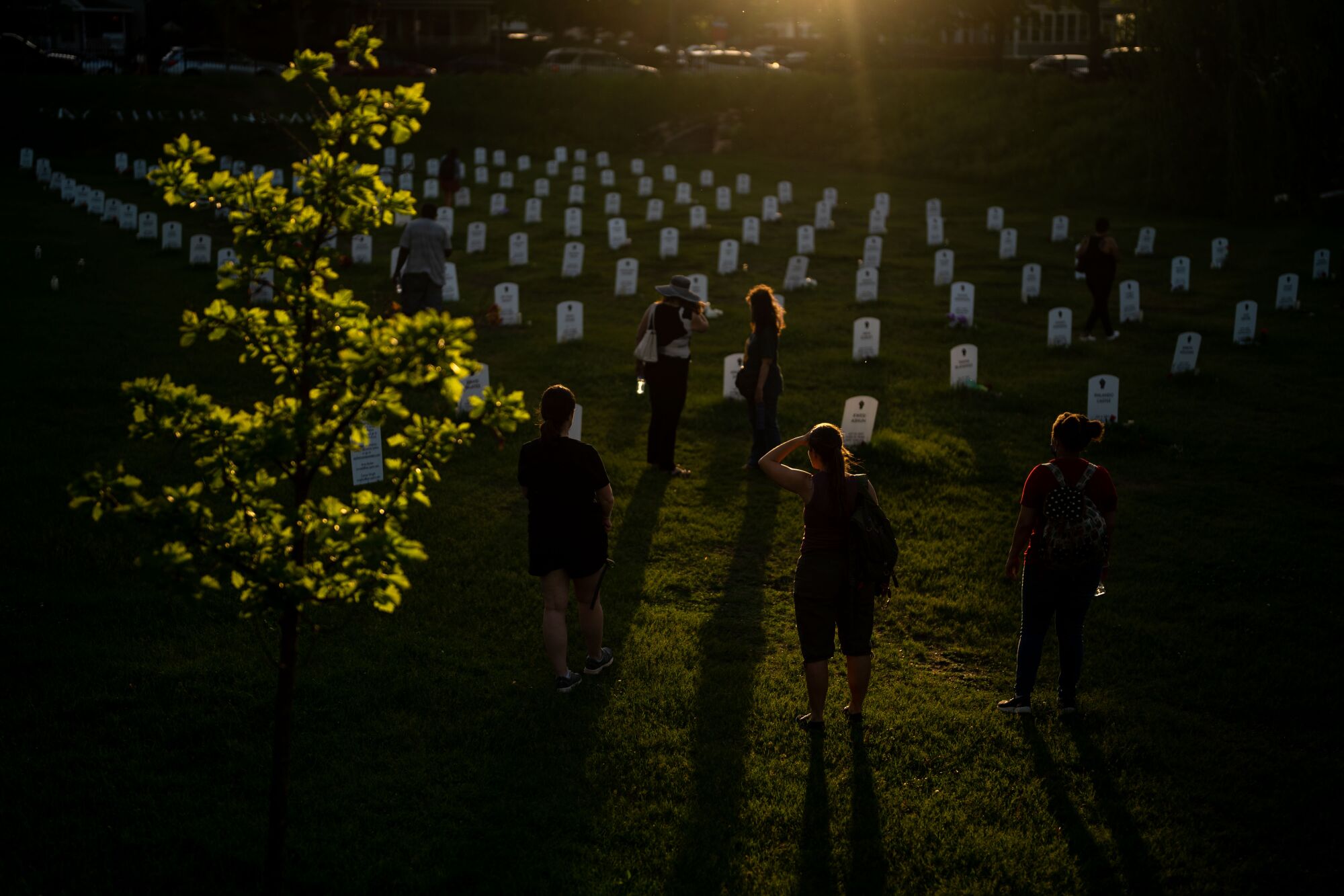 People are silhouetted by the sun near a display representing rows of tombstones 
