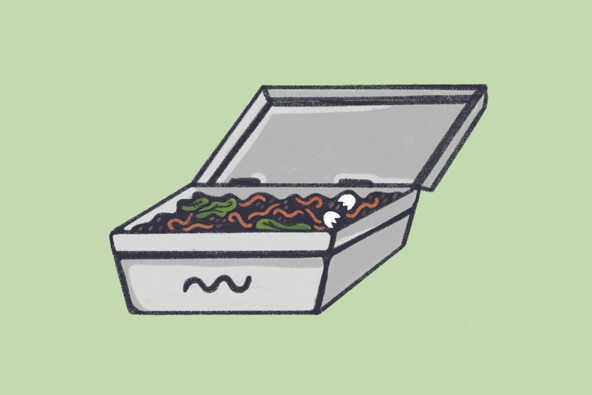 Illustration of a small box with worms and compost in it