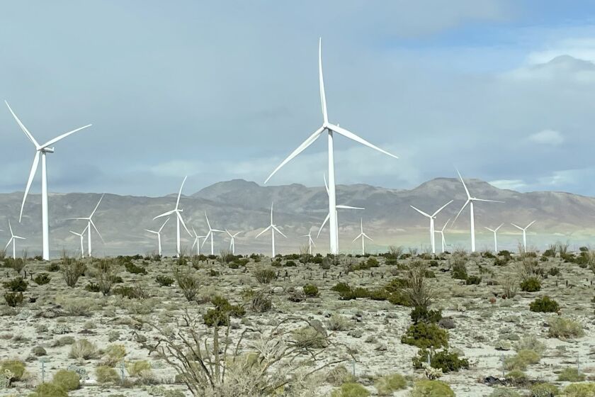 San Diego Community Power provides at least 55 percent of its power from renewable sources such as Imperial Valley wind farm.