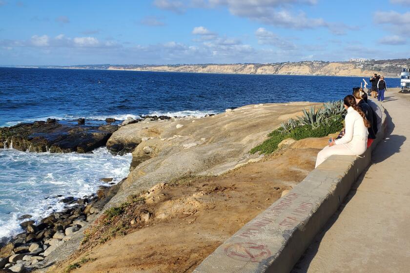 Point La Jolla near Seals could end up permanently closed year-round