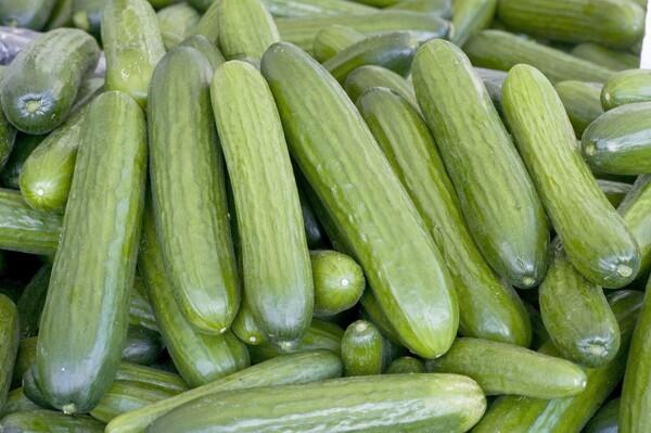 Persian cucumbers