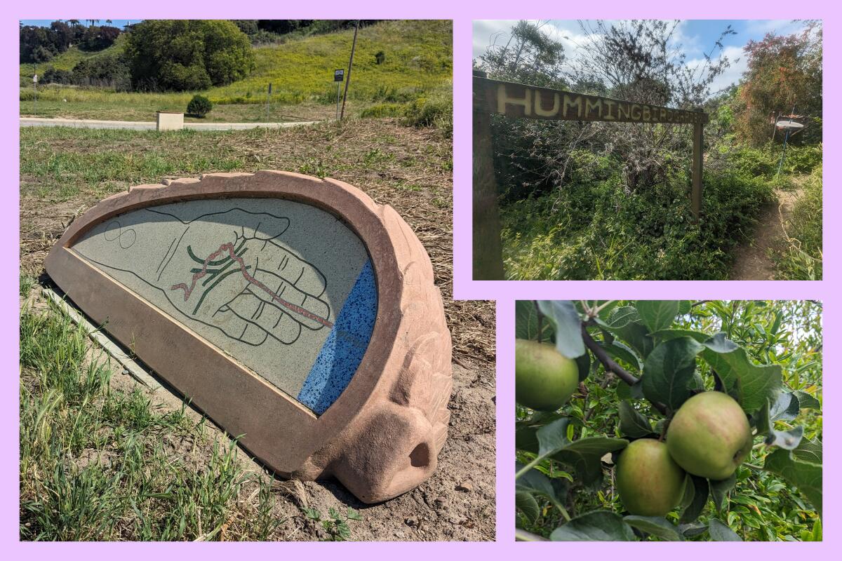 3 photos: A sign of the Park to Playa trail; fruit on a tree near Stocker Corridor; a hummingbird garden sign.