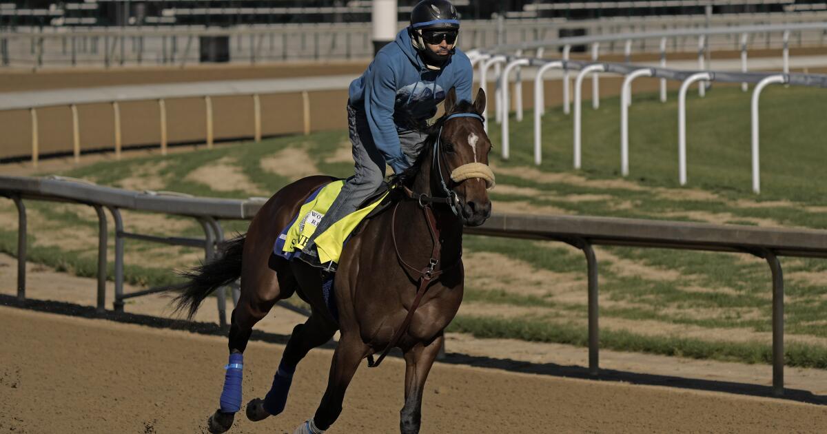 Horse deaths, bans, scratches a crazy Kentucky Derby week Los