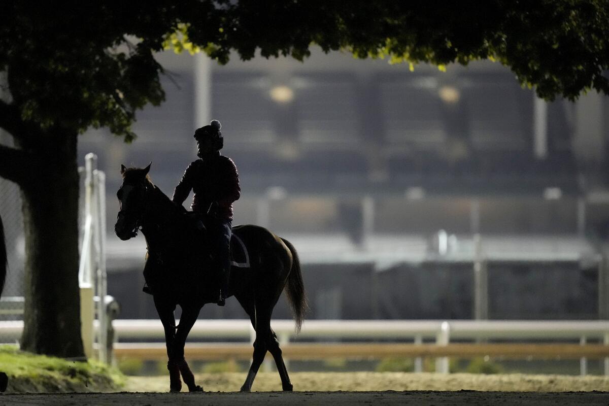 A horse comes off the track after a morning workout at Churchill Downs on Thursday.