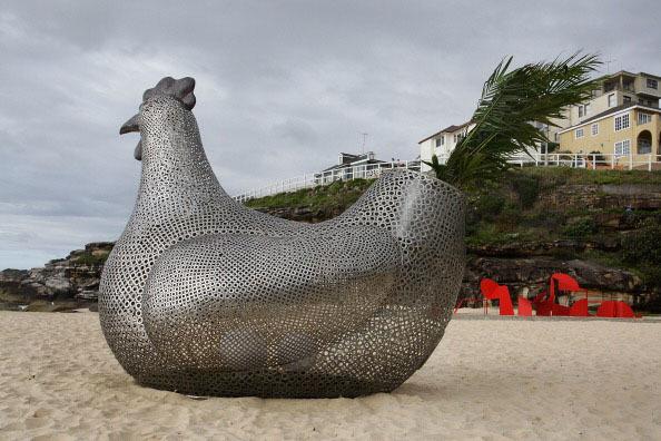 A "Sitting Hen" takes over beach