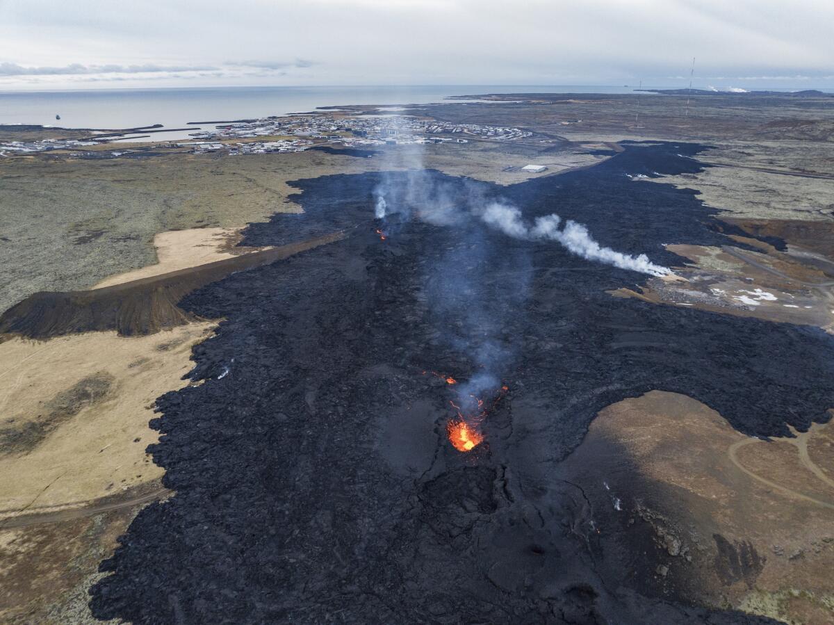Lava field in Iceland