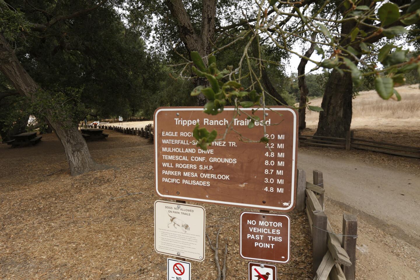 Eagle Rock from Trippet Ranch in Topanga State Park