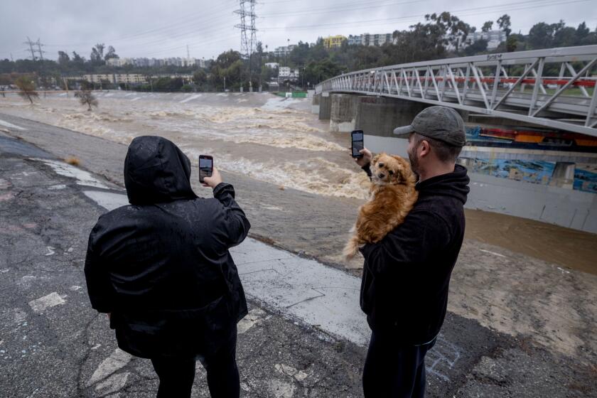 Los Angeles, CA - February 05: Kelly Devin (L) of Glendale, and her husband Michael with their dog Sky take photos as the Los Angeles River carries stormwater flow during a rainstorm near Atwater Village on Monday, Feb. 5, 2024 in Los Angeles, CA. (Ringo Chiu / For The Times)