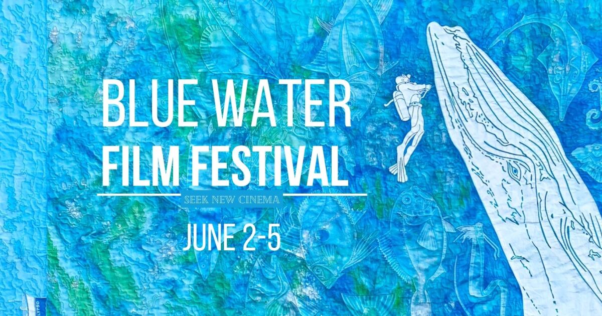 Filmprogramm des Blue Water Festivals mit lokalen Filmemachern