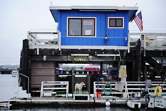 Old Fisherman's Wharf