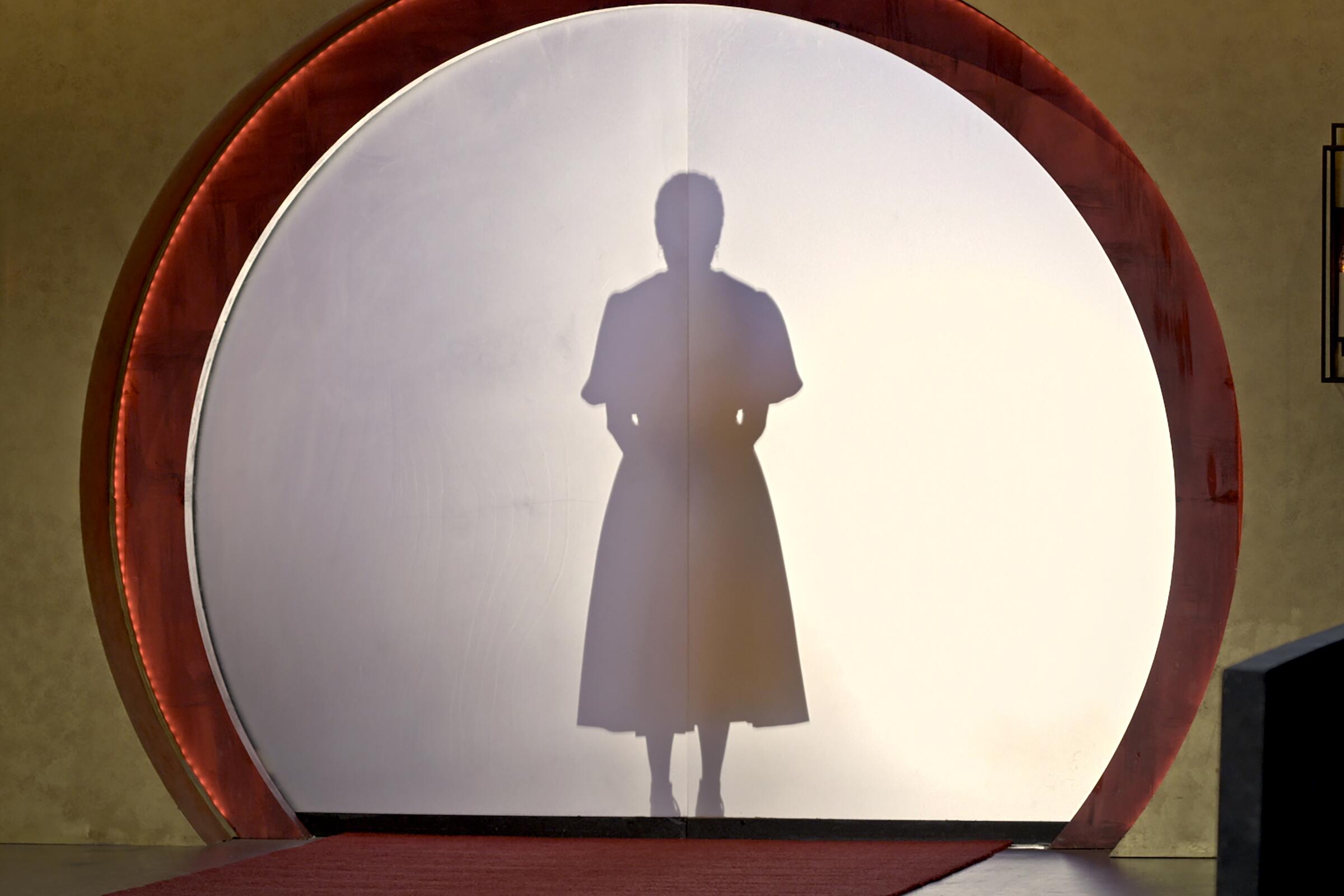 A silhouette of a person in a dress behind glass.