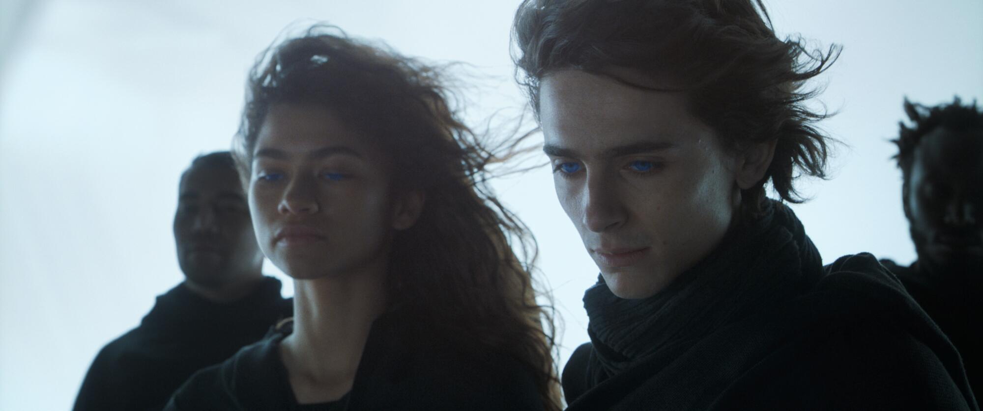 A woman with long, brown hair standing next to a man with short, brown hair