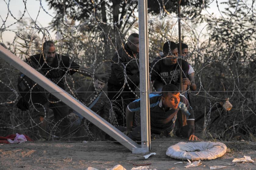 Migrants breach a fence to cross into Hungary from Serbia. Many refugees do not wish to stay in either country.
