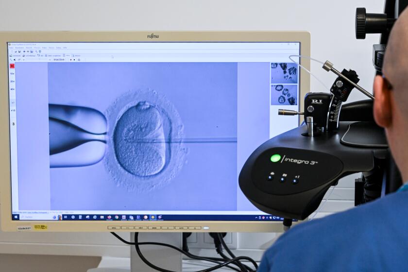 PRODUCTION - 17 January 2024, Berlin: In the cell laboratory at the Fertility Center Berlin, an electron microscope is used to fertilize an egg cell. Photo: Jens Kalaene/dpa (Photo by Jens Kalaene/picture alliance via Getty Images)