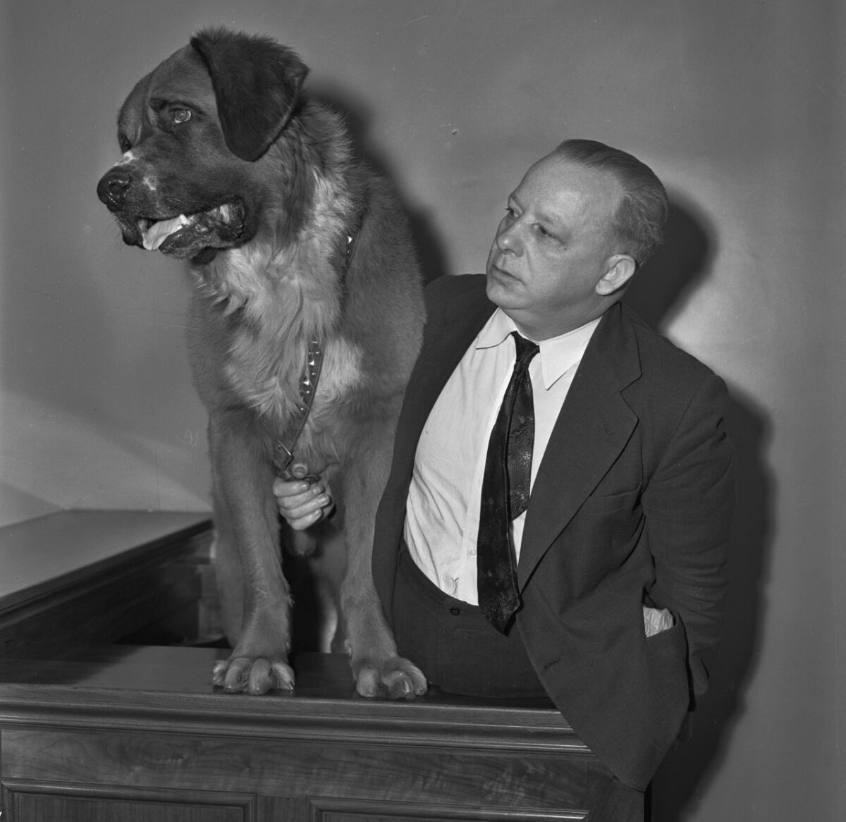 A dog stands atop the witness stand in court. A man in a suit holds his leash.