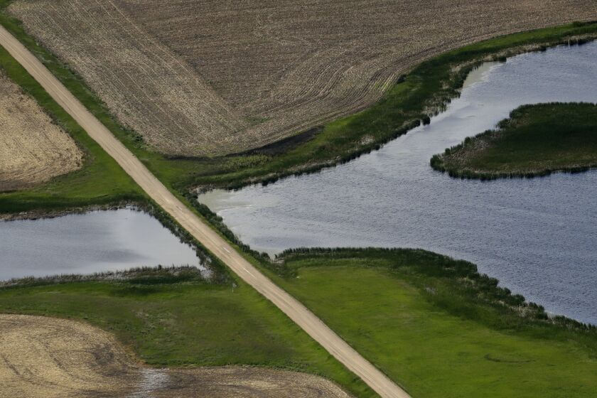 FILE - A road bisects a wetland on June 20, 2019, near Kulm, N.D. The Supreme Court has made it harder for the federal government to police water pollution. The decision from the court on Thursday, May 25, 2023, strips protections from wetlands that are isolated from larger bodies of water. It’s the second ruling in as many years in which a conservative majority has narrowed the reach of environmental regulations. (AP Photo/Charlie Riedel, File)