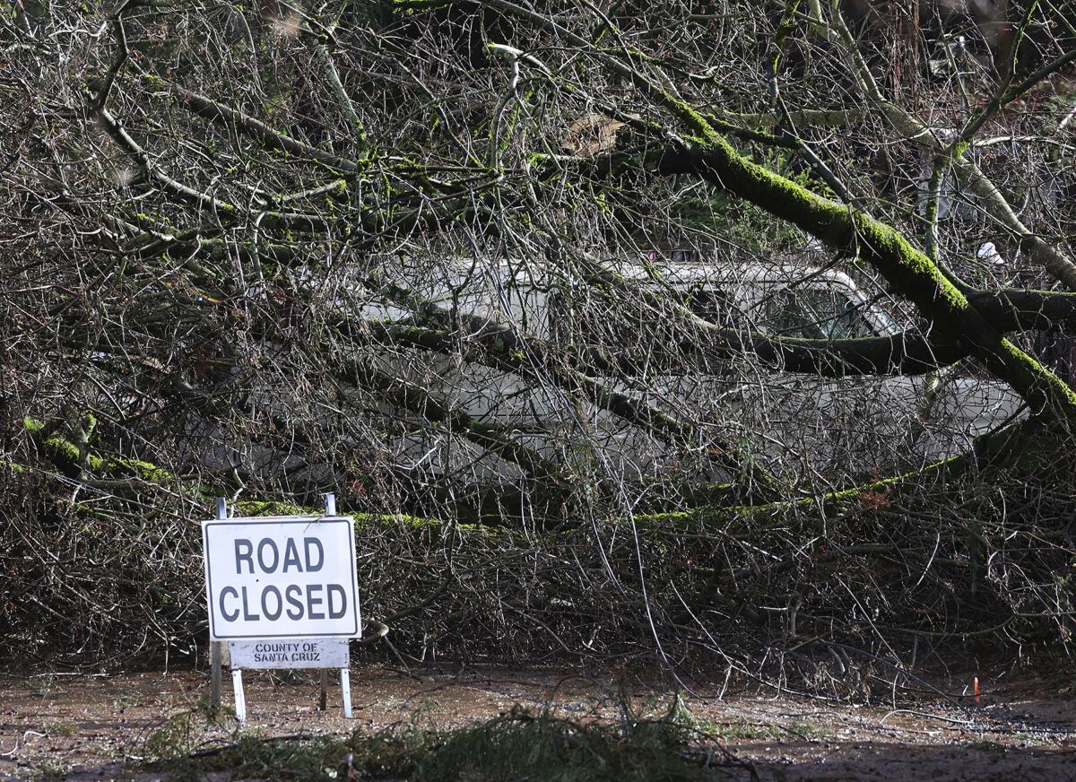 A van is covered by a fallen tree on Covered Bridge Road in Felton, Calif.