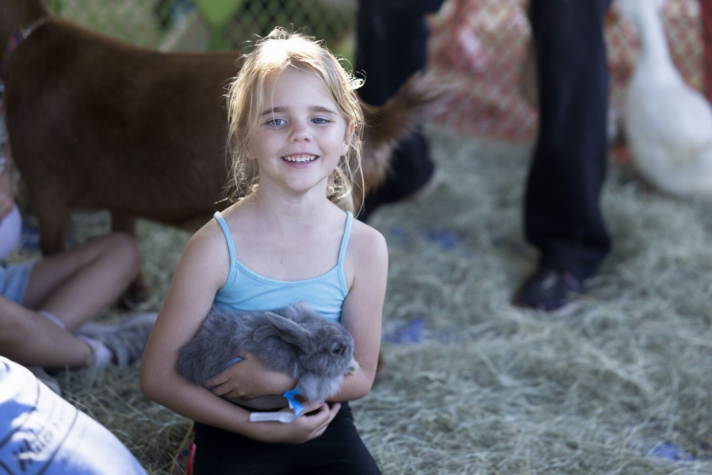 Amelie McCandless holds a bunny in the petting zoo