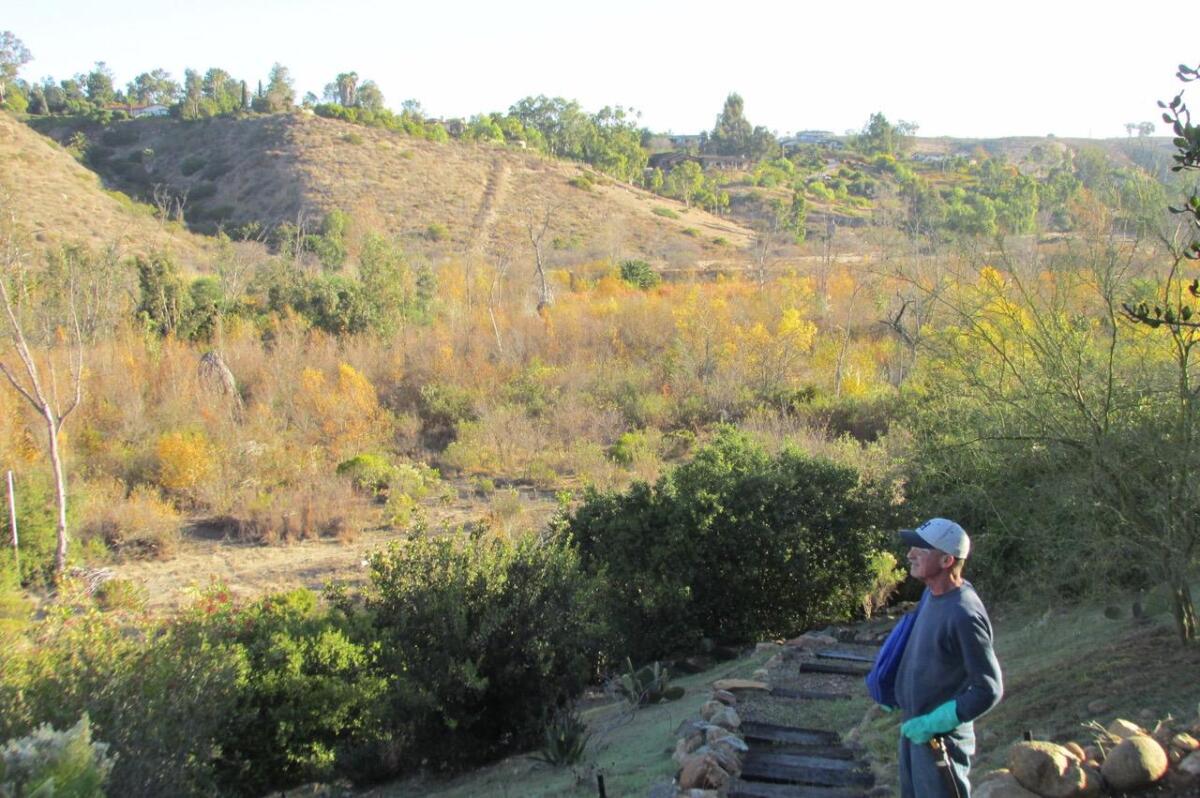 San Dieguito River Valley at Fairbanks Ranch