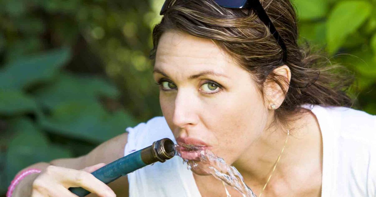 Gardening Is Your Garden Hose Water Safe Pomerado News