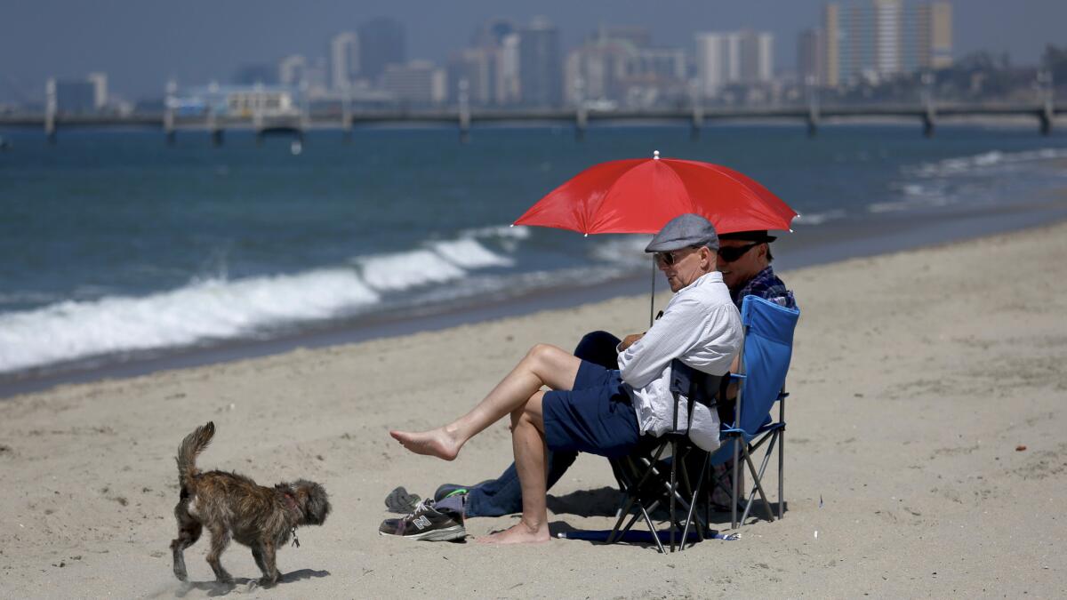 Tom Siegel and Rand Ryan, of Los Angeles, relax with their dog Maisie at Rosie's Dog Beach in Long Beach. The water in Long Beach remains closed from a sewage spill earlier in the week.
