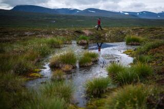 Keith Larson, head of the Abisko Scientific Research Station, walks past a pond formed by melting permafrost under the ground at the Storflaket mire on August 24, 2021, near the village of Abisko, in Norrbotten County, Sweden. - In the Arctic in Sweden's far north, global warming is happening three times faster than in the rest of the world. Storflaket and the nearby Stordalen sites are key centres of research in Europe into the effects of climate change on permafrost. The methane is released as the permafrost melts. (Photo by Jonathan NACKSTRAND / AFP) (Photo by JONATHAN NACKSTRAND/AFP via Getty Images)