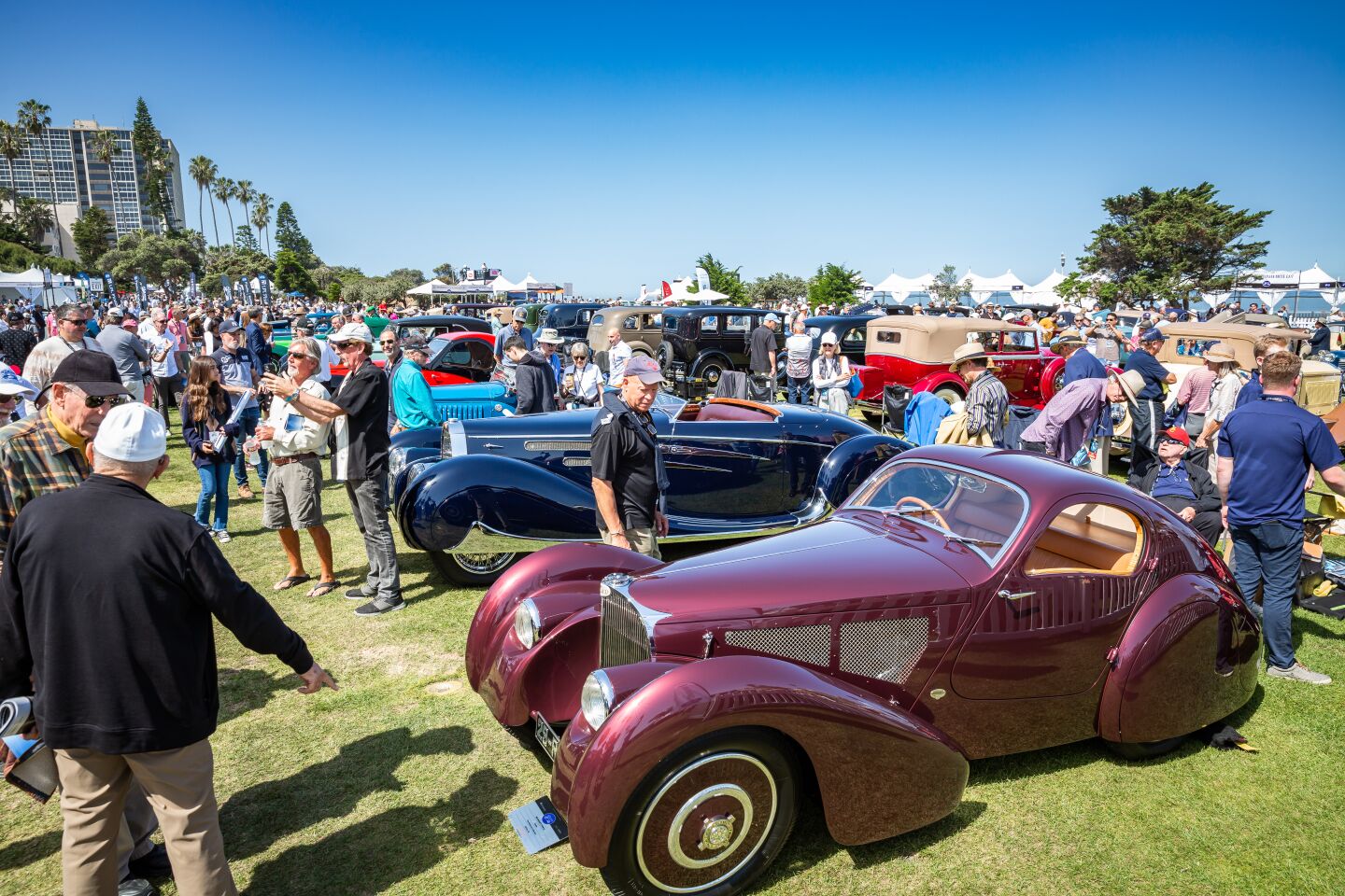 This year's featured marque, Bugatti, gets a showcase at the Concours d'Elegance.