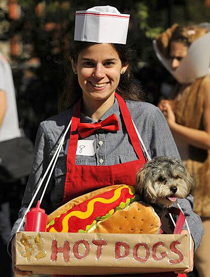 Hot dog doggie
