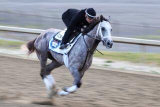 ELMONT, NEW YORK - JUNE 09: Tapit Trice trains on the track during morning workouts.