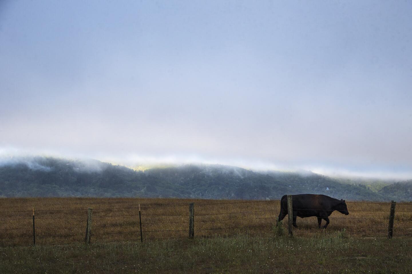 Point Reyes National Seashore