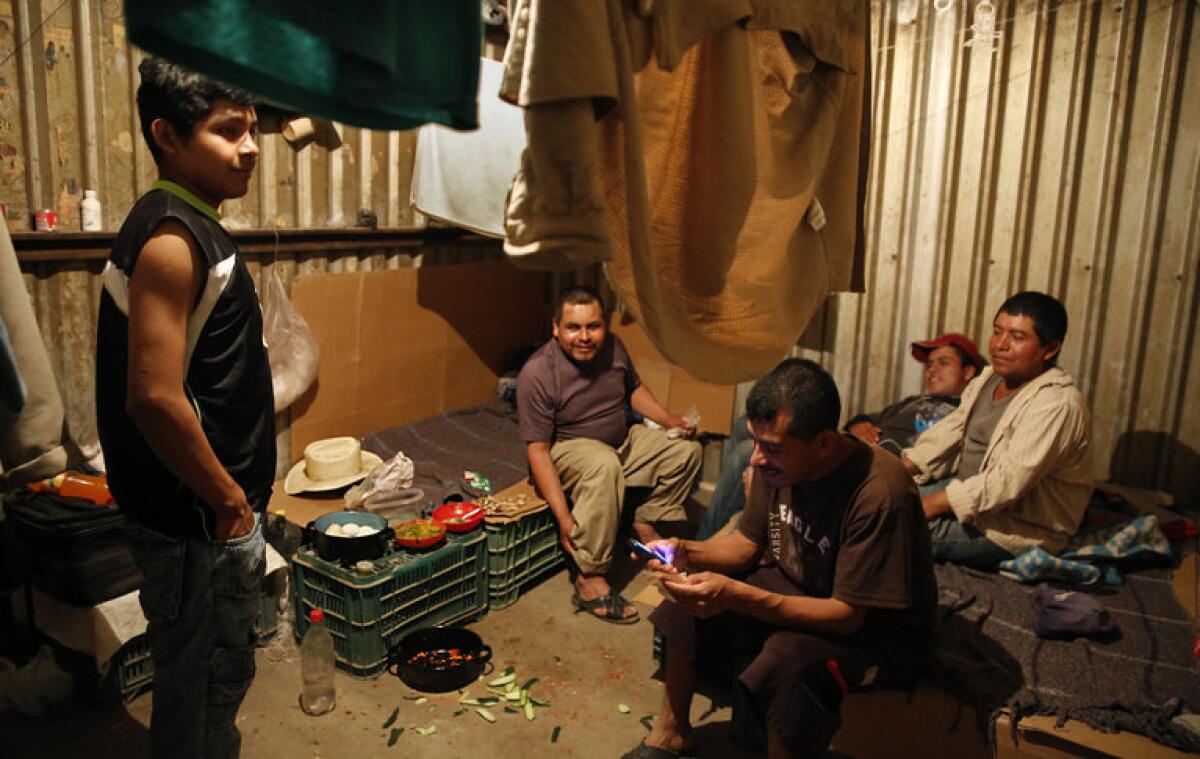 Trabajadores del Campo San Emilio, Sinaloa, duermen en sus cuartos sin ventanas, en camas hechas con cartones. Juan Hernández, extrema derecha, quería visitar a su esposa enferma en Veracruz, "pero si me viajaba, iba a perder todo", dijo.