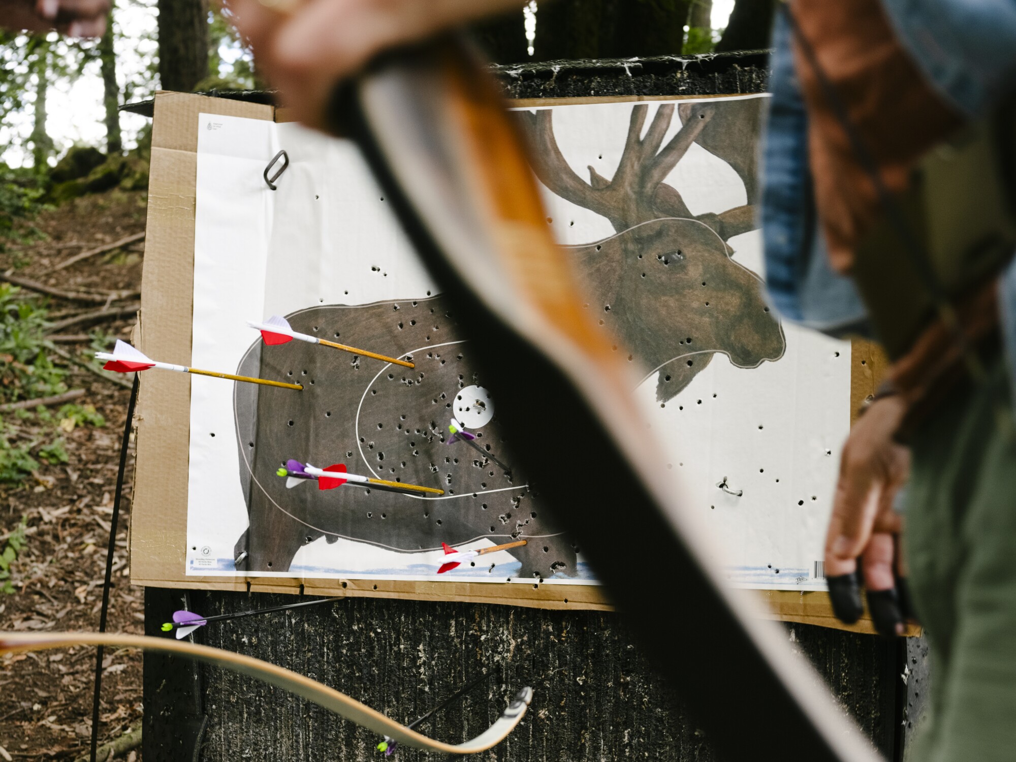 Counting the hits on a moose target.