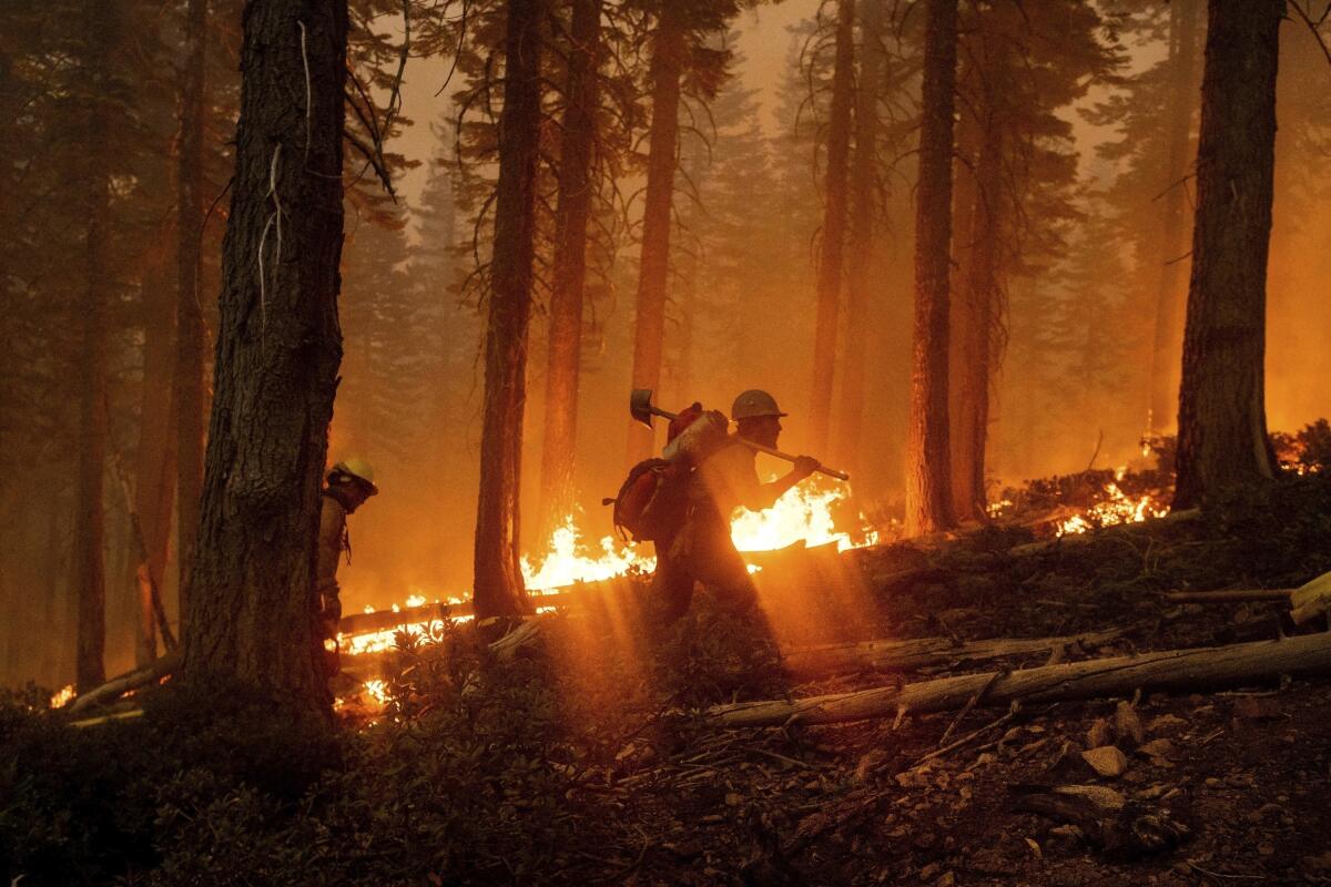 ARCHIVO -  el bombero Cody Carter batalla el incendio North Complex en el Bosque Nacional Plumas, en California.