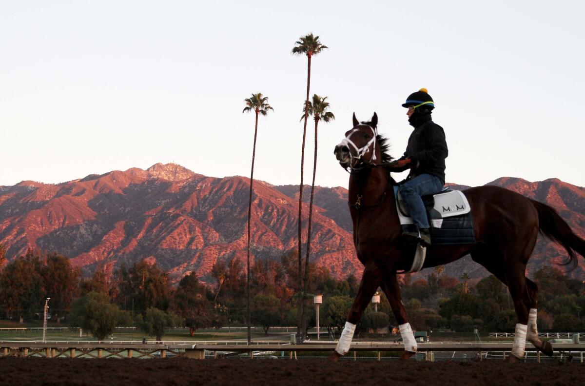 The Stronach Group has successfully transformed tracks at Gulfstream Park in Florida and Laurel Park in Maryland. Now, it aims to do the same at Santa Anita, seen above.