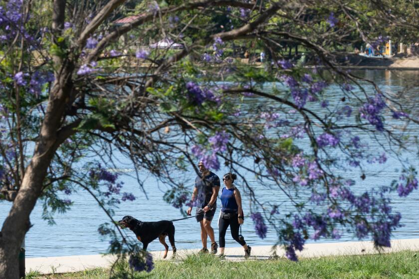 LAKE BALBOA, CA - JULY 12: Visitors walk around Lake Balboa / Anthony C. Beilenson Park on a warm Wednesday, July 12, 2023. Triple-digit temperatures are forecast through the weekend. (Myung J. Chun / Los Angeles Times)