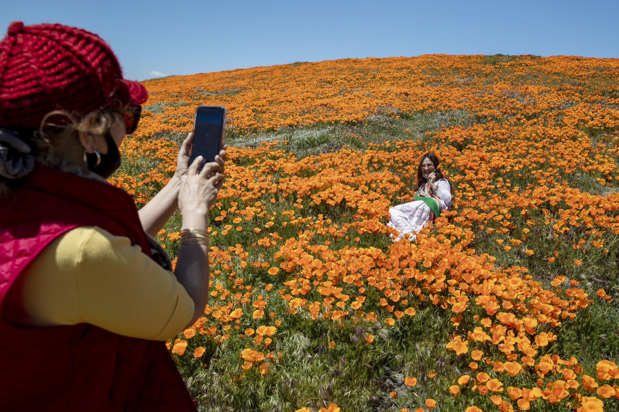 Shana Zhao, left, photographs her sister, Vivi Zhao, among blooming California poppies in a field in Lancaster.