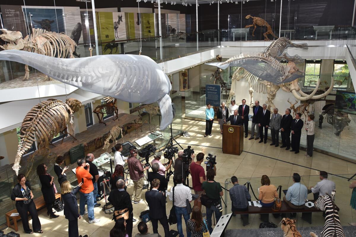 Gov. Jerry Brown speaks at the Natural History Museum in Los Angeles in June.