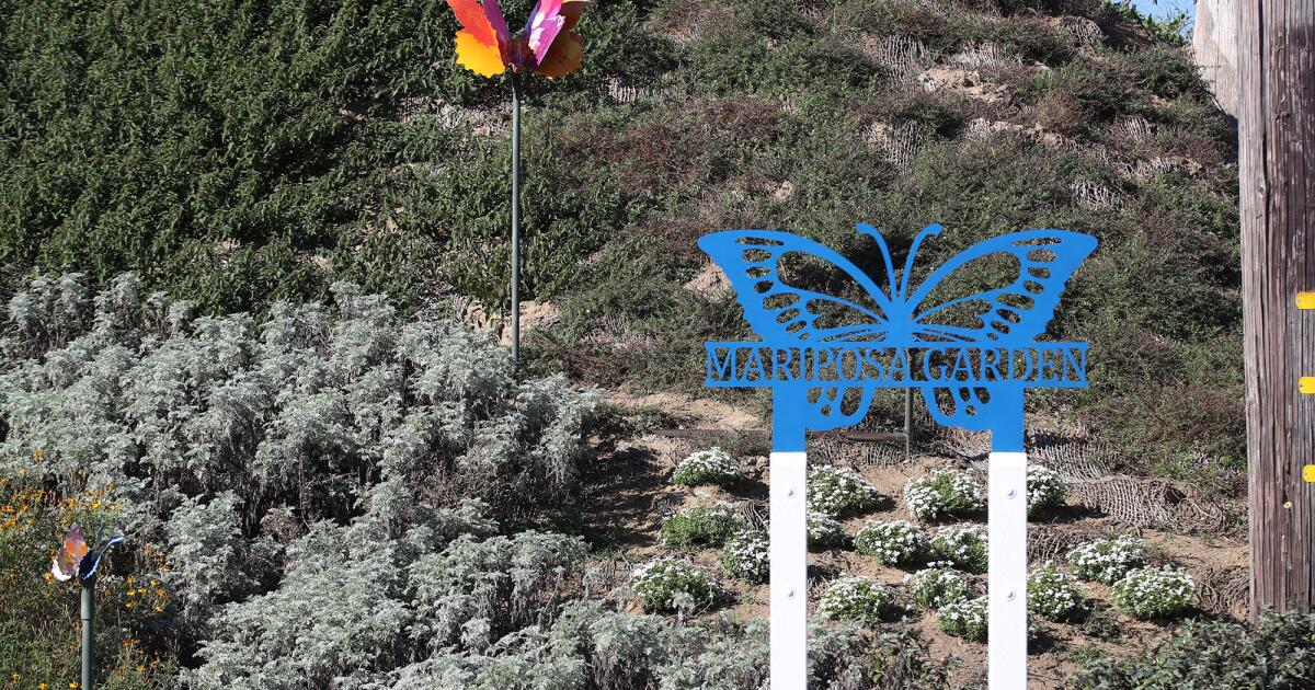 Costa Mesa butterfly garden offers sanctuary for humans and pollinators alike