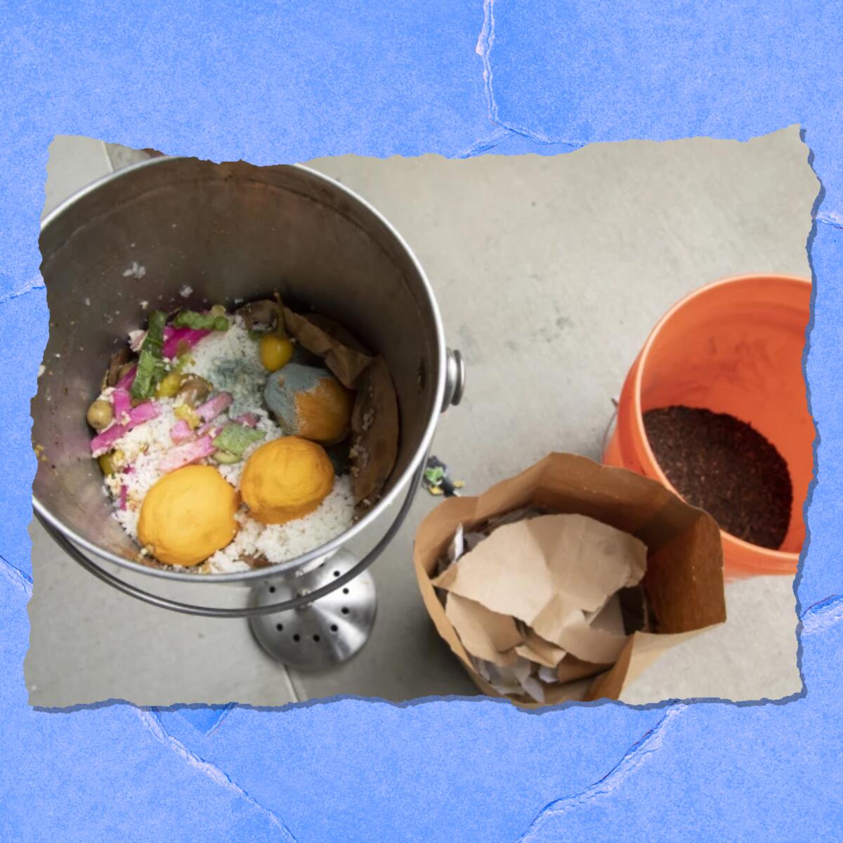 Containers hold food scraps including white rice and lemons, shredded paper and coffee grounds.