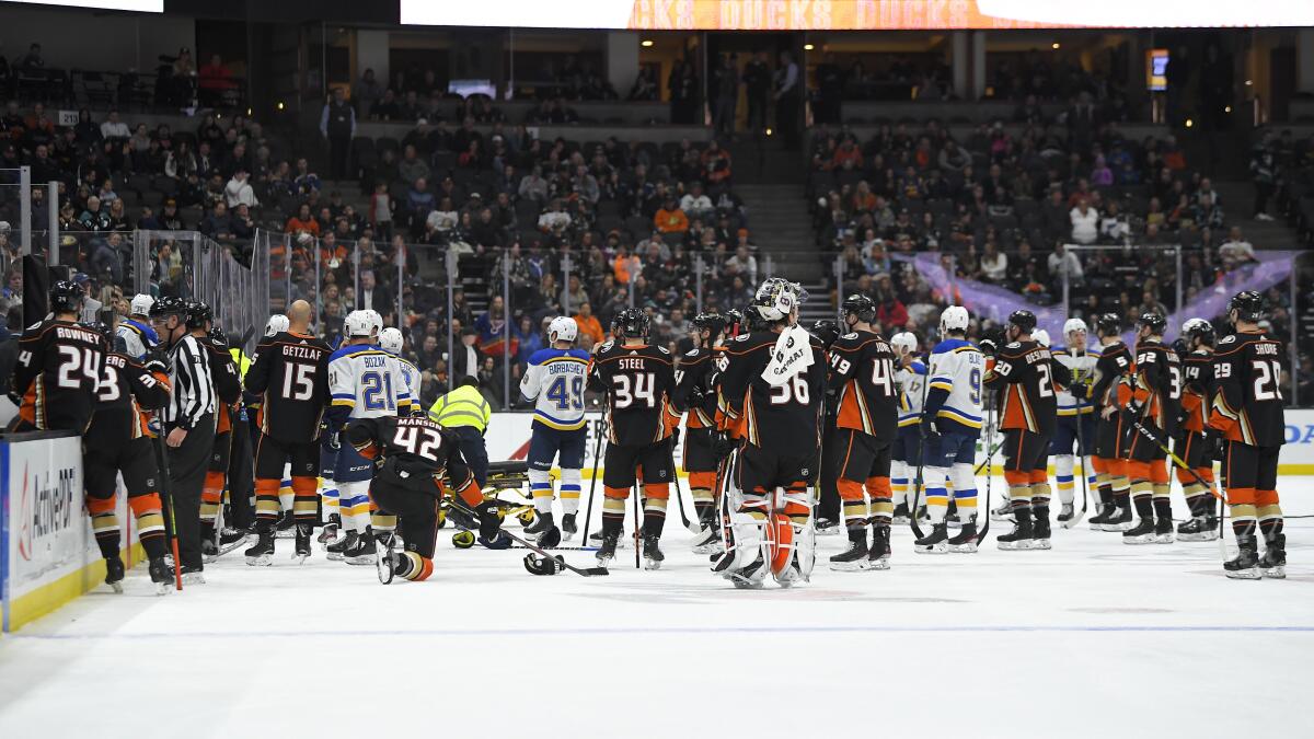 Ducks in Orange, Kings in Grey for L.A. Stadium Series Game